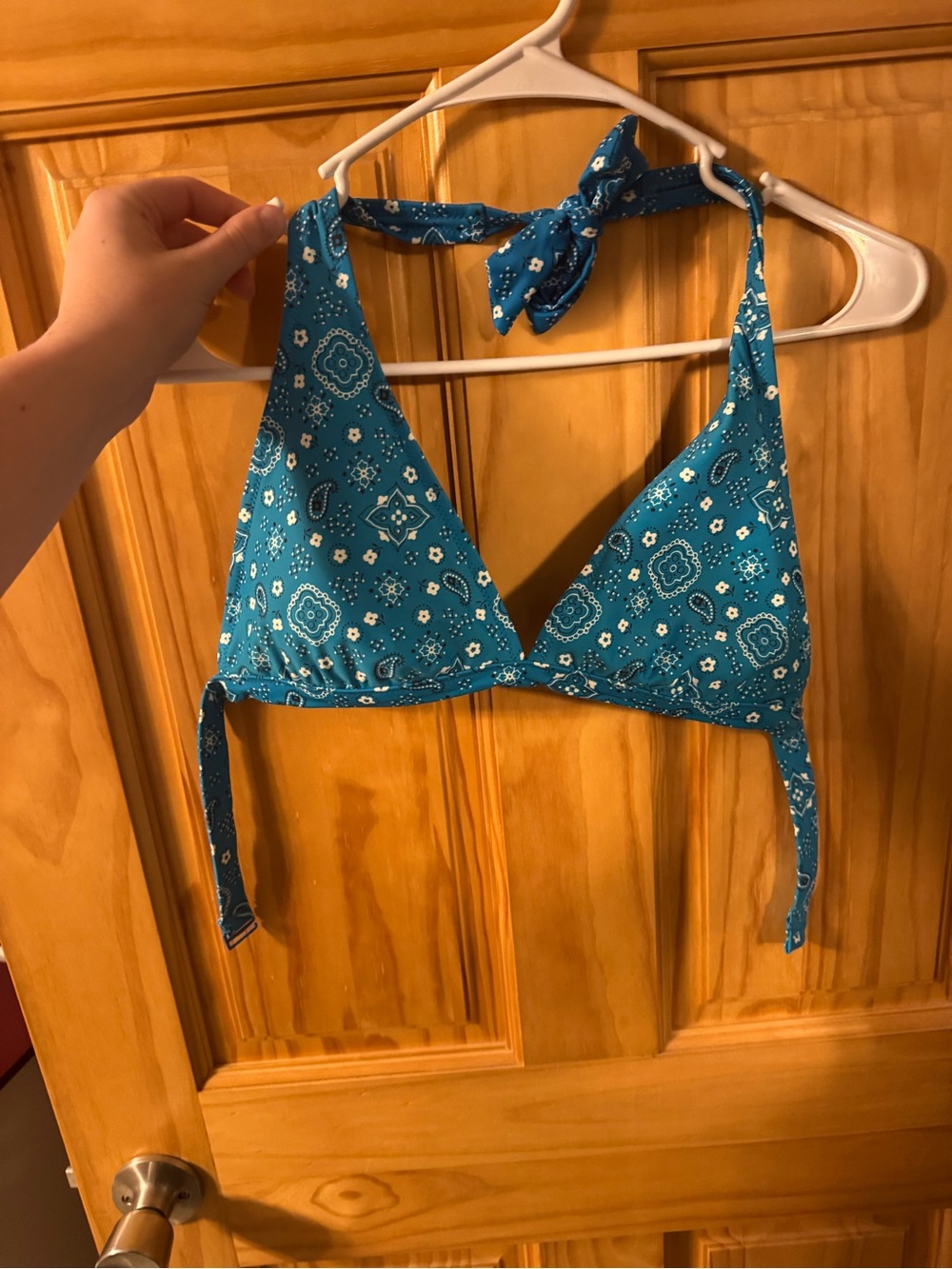 Aerie  Bikini